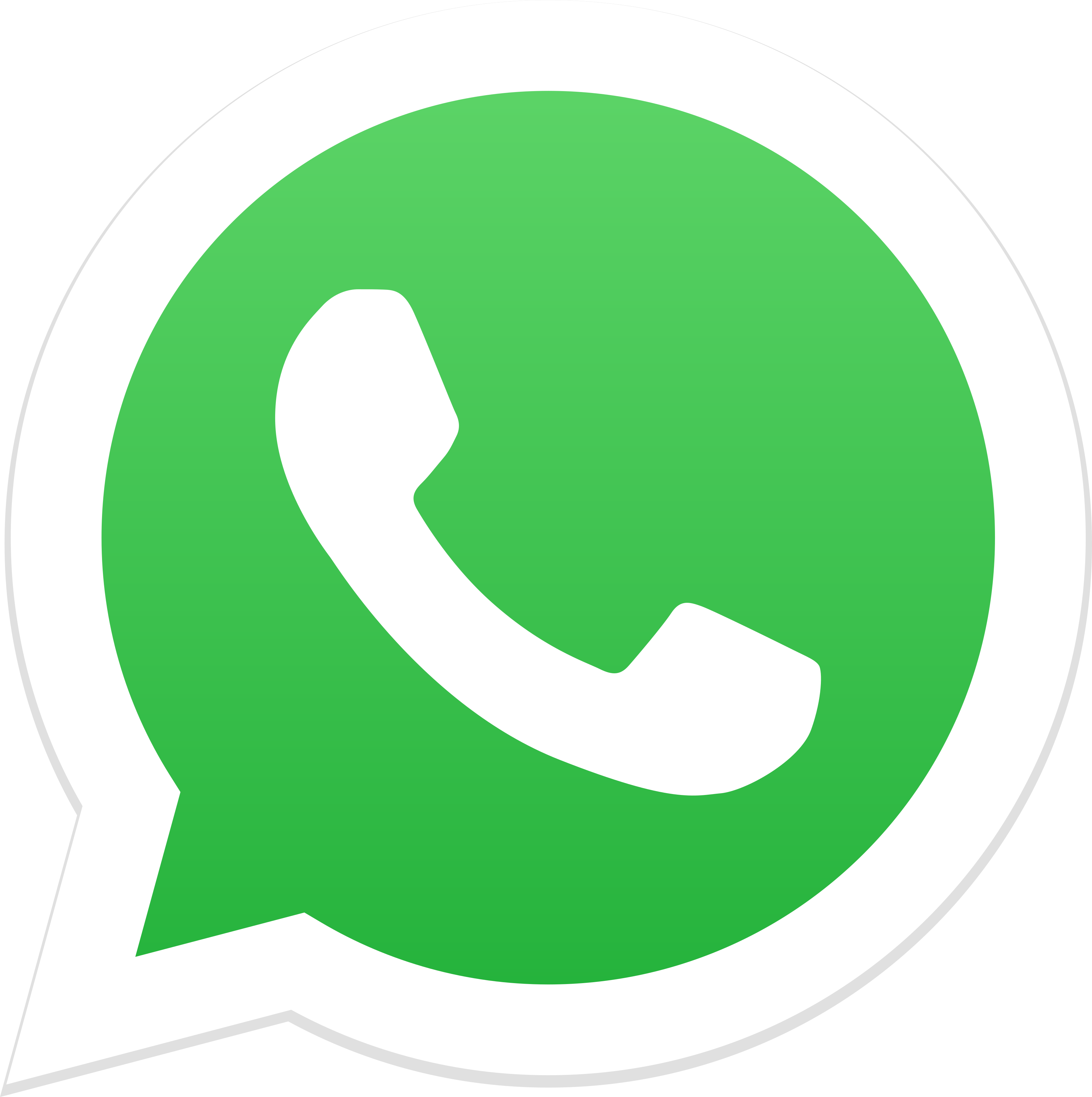 loogo whatsapp